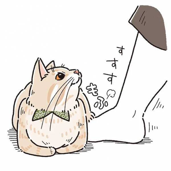 香箱座りをする猫に、飼い主夫婦が片足を突っ込むと？　「笑ってしまった」「ある意味愛されてる！」