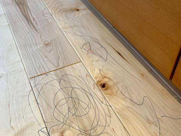 新居に落書きをした２歳児　母親の行動に「最高の発想」「見習いたい！」