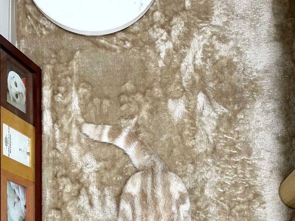 猫…写ってる？　愛猫がいなくなったと思った飼い主、発見時の姿に「難易度高い！」