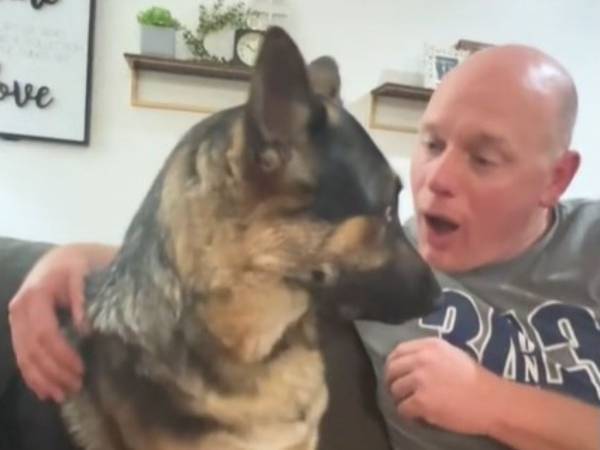 浮気がバレたカップル？　飼い主がほかの犬をなでていたことに気付いた犬が…！