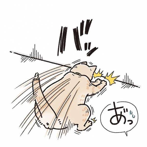 「可愛すぎる」　室内に飛ぶ虫を目で追っていた猫　すると、次の瞬間…？