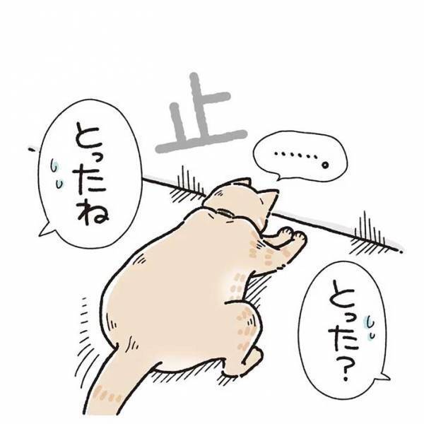 「可愛すぎる」　室内に飛ぶ虫を目で追っていた猫　すると、次の瞬間…？