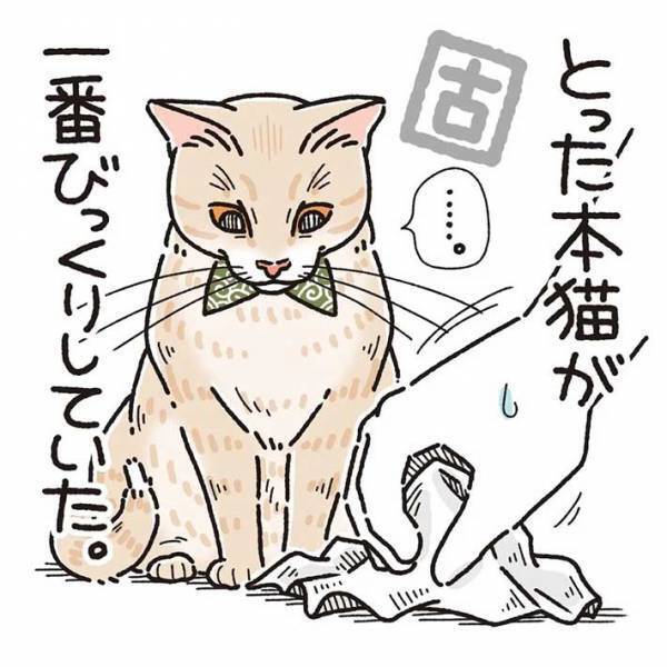 「可愛すぎる」　室内に飛ぶ虫を目で追っていた猫　すると、次の瞬間…？