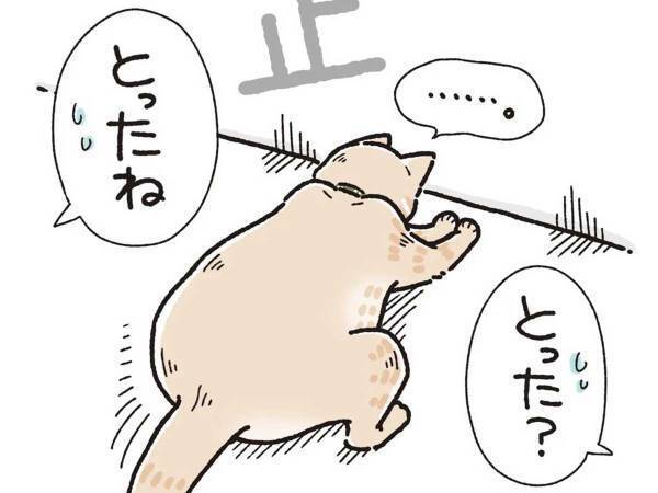 「可愛すぎる」　室内に飛ぶ虫を目で追っていた猫　すると、次の瞬間…？