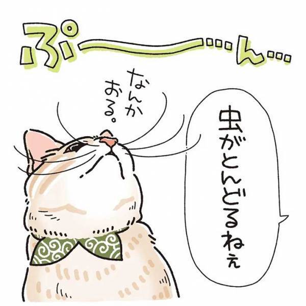 「可愛すぎる」　室内に飛ぶ虫を目で追っていた猫　すると、次の瞬間…？