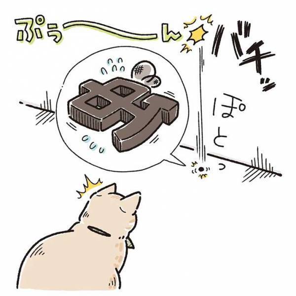 「可愛すぎる」　室内に飛ぶ虫を目で追っていた猫　すると、次の瞬間…？