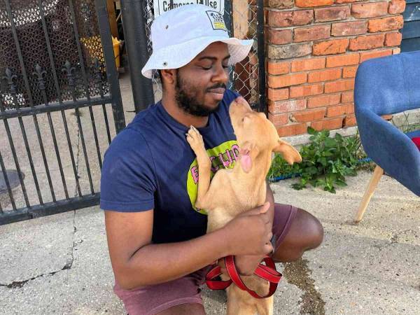 拾った子犬を施設に預けに来た男性　『最後のお願い』に涙腺崩壊