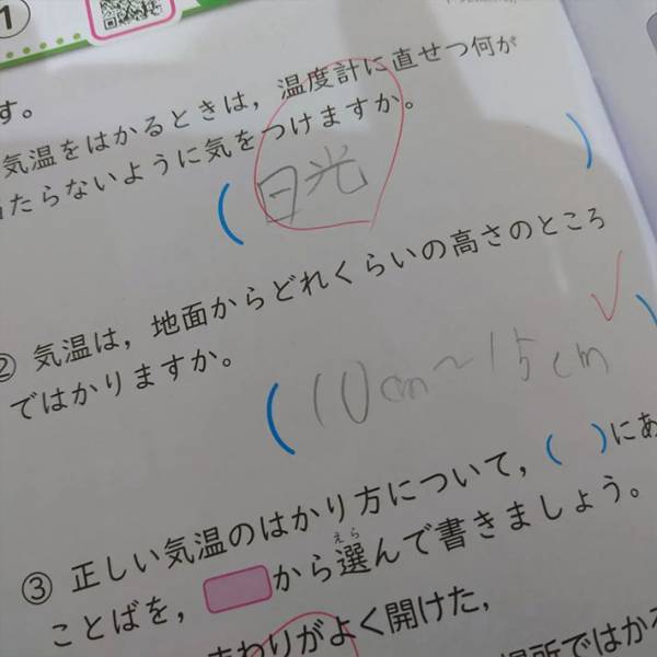 「うちの息子の珍解答がすごい」　宿題の随所にミスが！