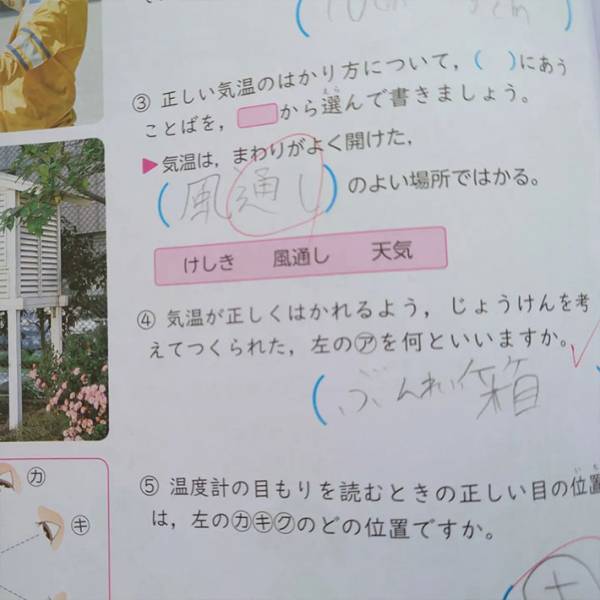 「うちの息子の珍解答がすごい」　宿題の随所にミスが！