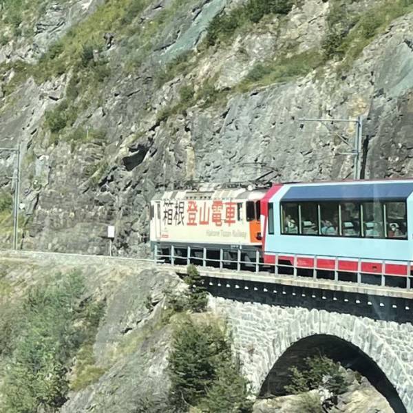 スイス旅行中に「ここ、日本…？」　衝撃的な写真に「どういうこと！？」「吹いた」