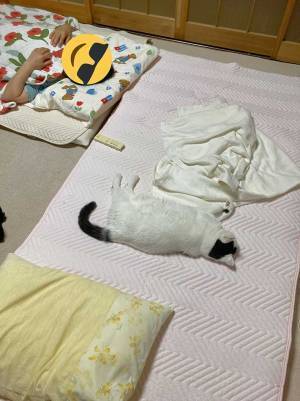 実家に帰っても、寝る場所がなかった女性　真相に、笑いがこみ上げる