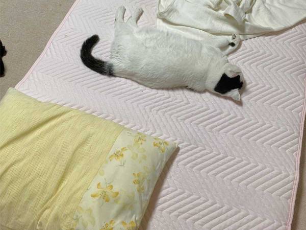 実家に帰っても、寝る場所がなかった女性　真相に、笑いがこみ上げる