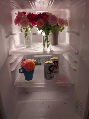 「神か、殺人鬼か…？」「素敵すぎ！」　お腹が空いて、冷蔵庫を開けると…？