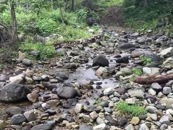 「この動画を教材として見せてあげて」　川の恐ろしさが分かる動画に反響