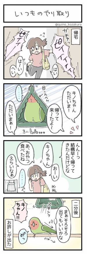 飼い主が、帰ってくると…　インコの『明らかに拗ねている』態度がかわいすぎ