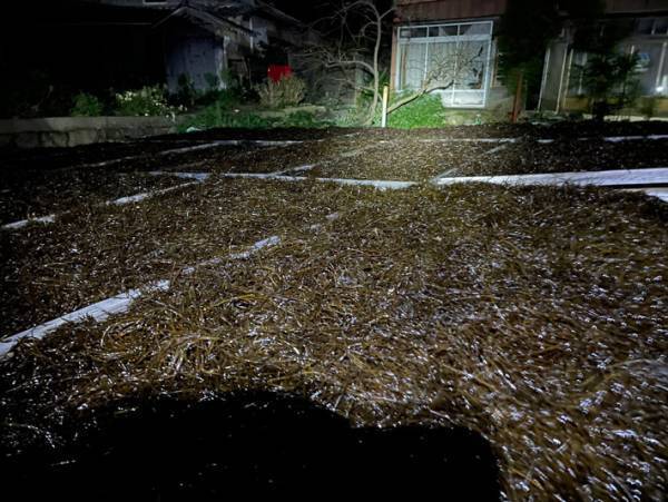 人々でごった返してるフェス会場かと思ったら？　１枚の写真に「だまされた！」