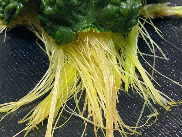 ご先祖様「な、なんじゃこりゃぁッ！」　精霊馬のモチーフに選んだのは…？