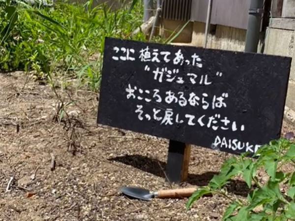 「善意を信じられるお心が素敵」　持ち去られた『ガジュマル』、返してもらおうと看板を立てた結果？