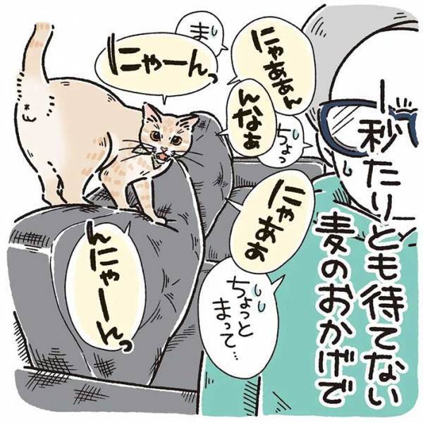 お風呂から上がったばかりの女性　甘えん坊な猫の行動に、キュンとする