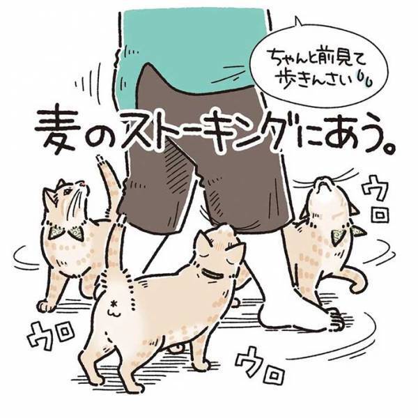 お風呂から上がったばかりの女性　甘えん坊な猫の行動に、キュンとする