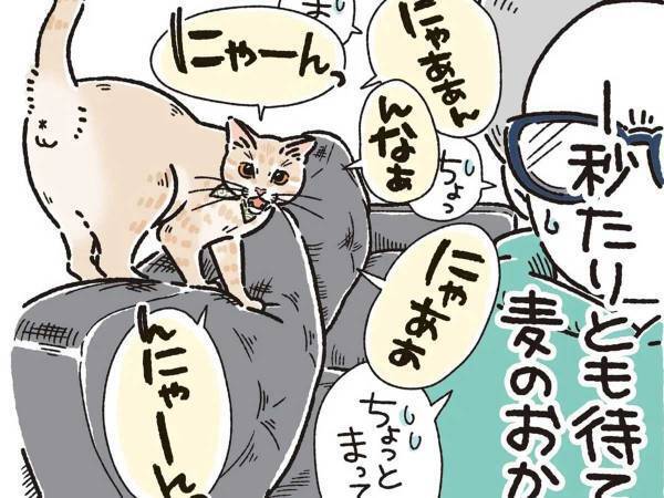 お風呂から上がったばかりの女性　甘えん坊な猫の行動に、キュンとする