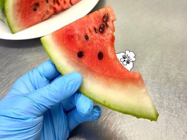 「なぜかおいしい」　料理人の『スイカの切り方』に共感の声　「分かる」「やってみよ」