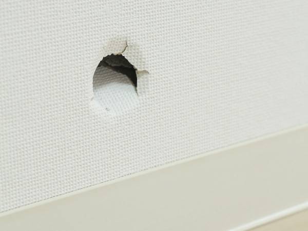 「思春期の時、壁に穴があいた」　３兄妹を育てた母の『告白』に「吹いた」「親近感わく」の声