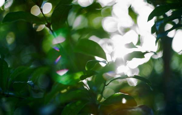 大切なことを大切にしようと、改めて思った８月１５日