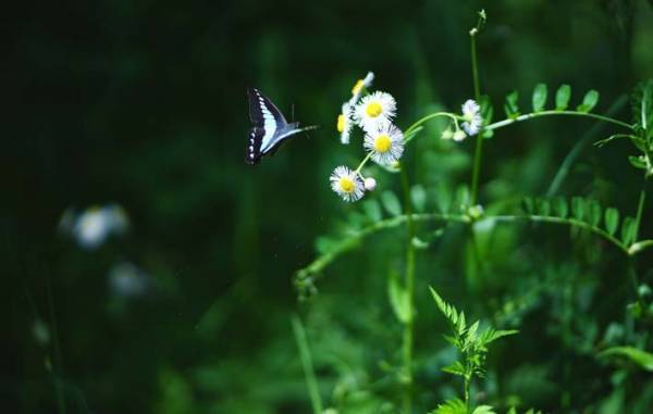 大切なことを大切にしようと、改めて思った８月１５日