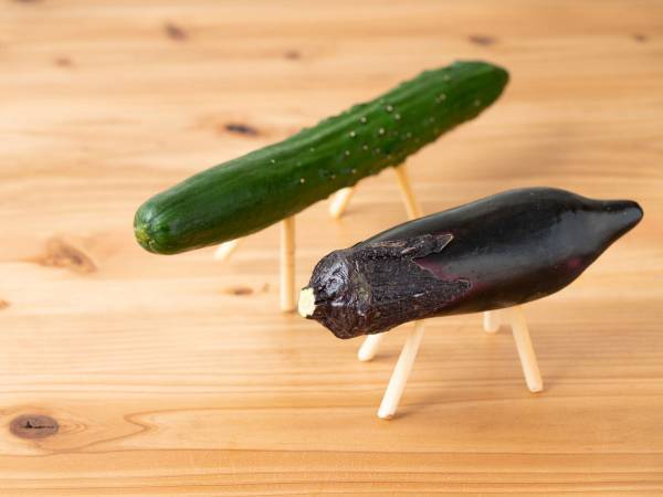 自衛隊員が『精霊馬』を作ると？　「速すぎて魂抜けるレベル」「カッコいい」