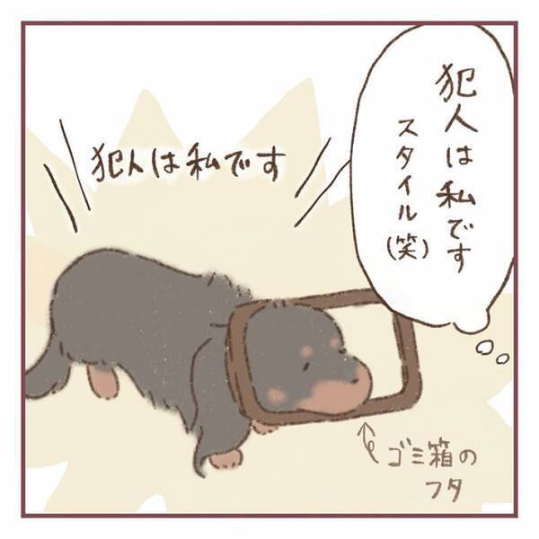 母親「ゴミ箱荒らしてたよ」　愛犬の『証拠写真』に「どうしてそうなった」