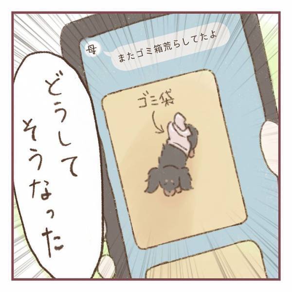 母親「ゴミ箱荒らしてたよ」　愛犬の『証拠写真』に「どうしてそうなった」