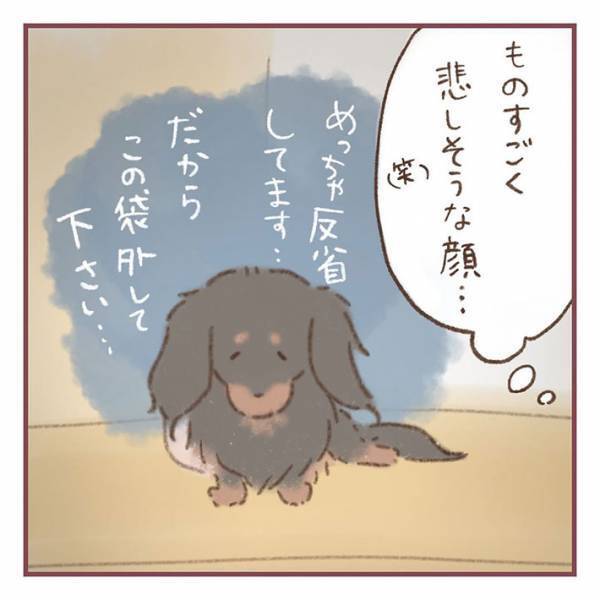 母親「ゴミ箱荒らしてたよ」　愛犬の『証拠写真』に「どうしてそうなった」