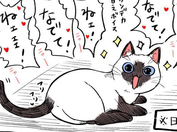 甘え方が尋常じゃない猫、だけど…？　行動に「あるあるー！」「うちの子かな？」