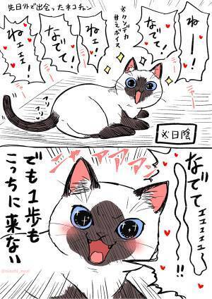 甘え方が尋常じゃない猫、だけど…？　行動に「あるあるー！」「うちの子かな？」