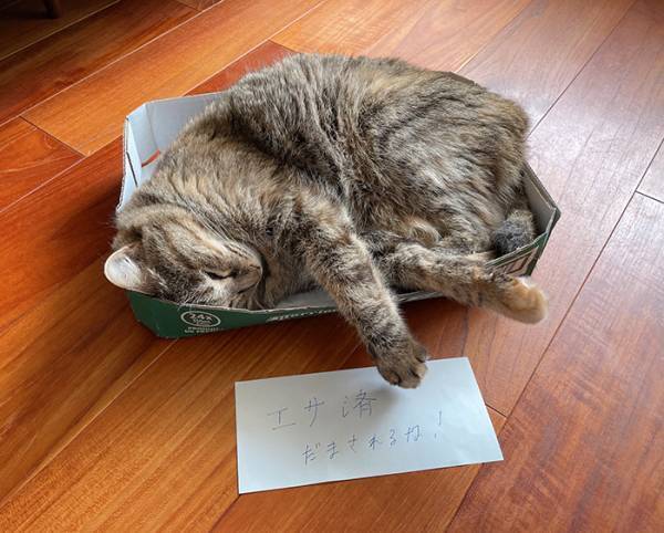 家人「騙されるな！」　書き置きの理由に「吹き出した」「めっちゃ分かる」