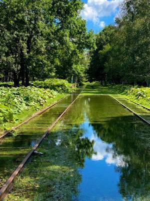 ４０年以上も電車が発着していない駅　現在の姿が「神秘的」「異世界みたい」