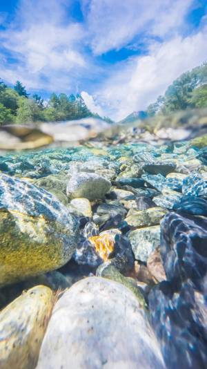 「食い入るように見てしまう」写真家が撮影した清流　なんとiPhoneで撮影？