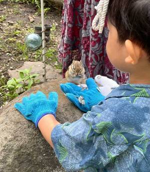 リスと触れ合う３歳児の行動に称賛の声　「こんな対応ができるなんてすごい」