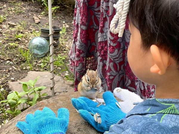 リスと触れ合う３歳児の行動に称賛の声　「こんな対応ができるなんてすごい」