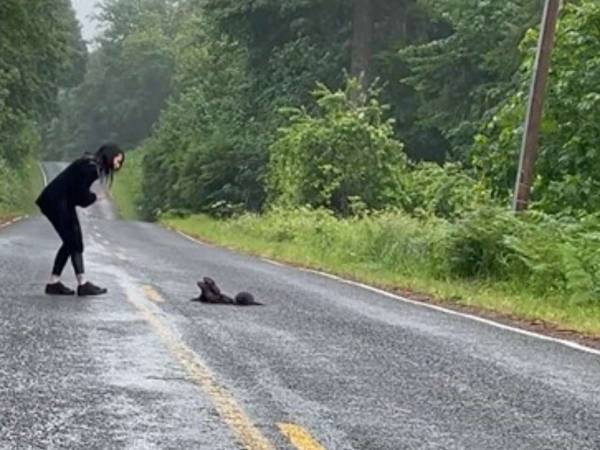 「あの黒い塊は何？」　山道で女性が遭遇したのは…「なんてかわいい！」