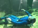 水族館「うちにシロイルカはいませんが…」　飼育員の『動画』に５万『いいね』！