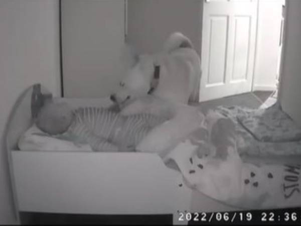 「母親みたい」　寝ている赤ちゃんの様子を、夜な夜な見に来るのは…？