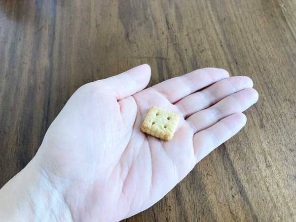 やみつきになる豆感！　カルディのグルテンフリーおやつは…大人も子供もハマる味