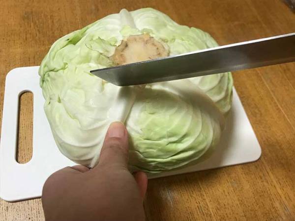 これは簡単！　キャベツの葉を１枚ずつきれいにはがす裏技とは？