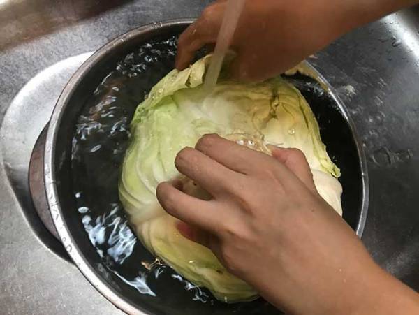 これは簡単！　キャベツの葉を１枚ずつきれいにはがす裏技とは？