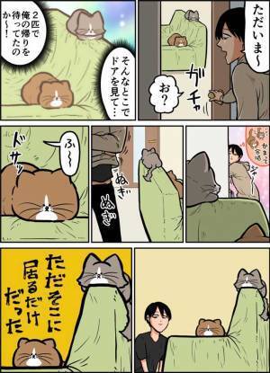 帰宅時、ドアの方向を向いて座っていた２匹の猫　飼い主が座ると？