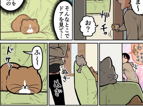 帰宅時、ドアの方向を向いて座っていた２匹の猫　飼い主が座ると？
