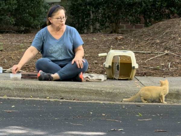 子猫を捕まえたい人たちと、捕まりたくない子猫　そこに『救世主』が現れて？