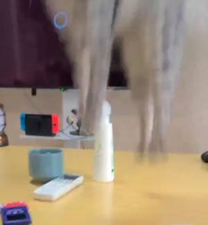 飼い主「飛びすぎじゃない？」　ビックリしすぎた猫に「めっちゃ笑った」「猫あるある」